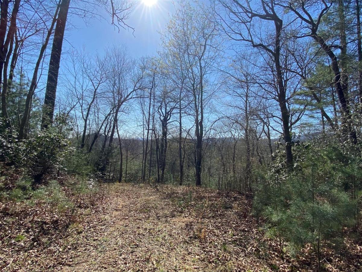 Coyote Lodge At Deerwoode Reserve Brevard Zewnętrze zdjęcie